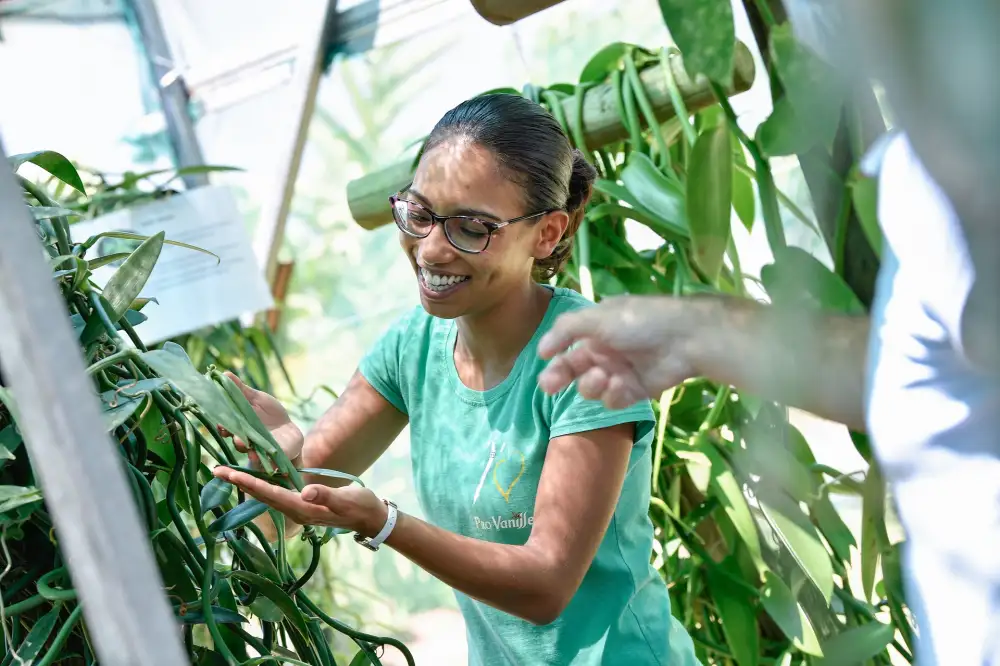 Culture et Traditions