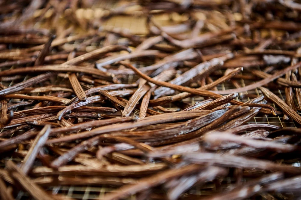 Expériences combinées