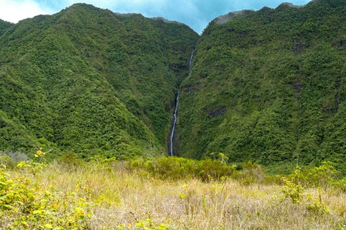 Cascade Biberon à la Plaine des Palmistes