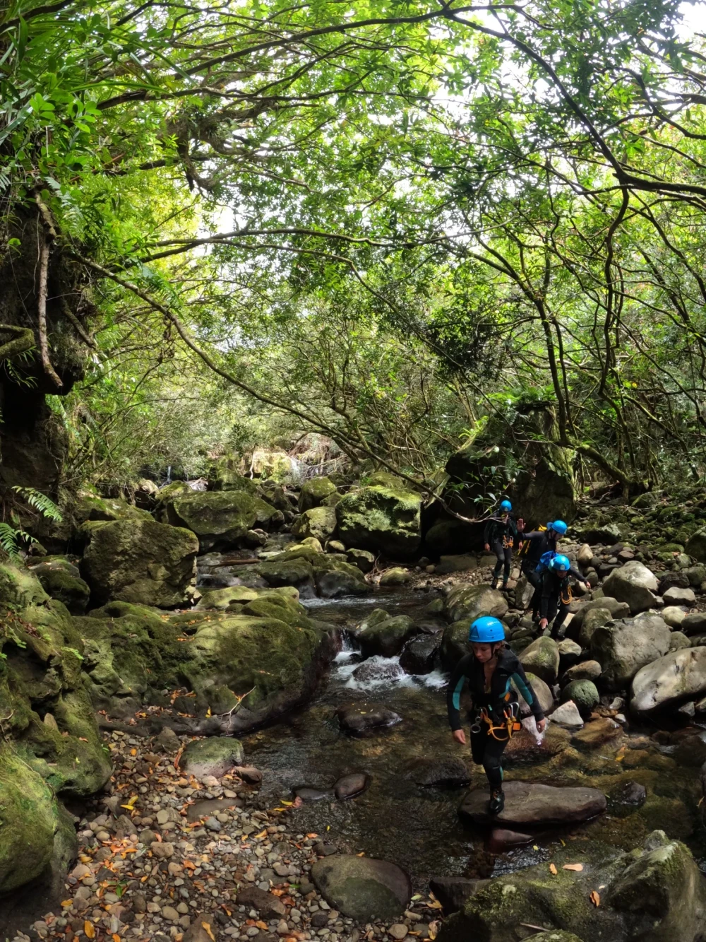 Canyon de Terre Rouge